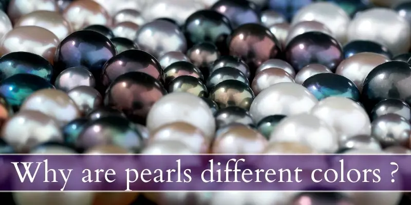Read more about the article Why Are Pearls Different Colors ? Here’s What’s Happening